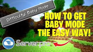 How To Install Fundys Baby Mode Plugin EASY WAY [upl. by Eniluap]