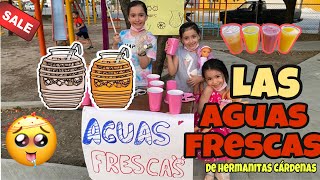 LAS AGUAS FRESCAS DE LAS HERMANITAS CARDENAS [upl. by Grenier]