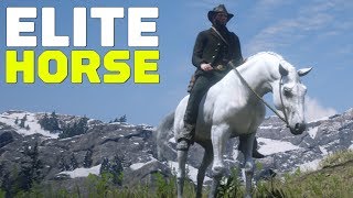 Red Dead Redemption 2 How to Find and Tame an Elite Arabian Horse [upl. by Constance]