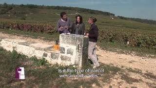 Understanding Vosne Romanée with Anne Gros [upl. by Ahset]