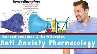 Anti Anxiety Pharmacology Benzodiazepines and Barbiturates [upl. by Nekcerb396]