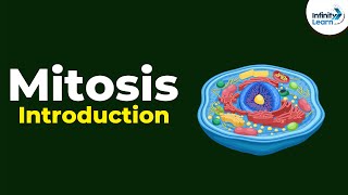 Introduction to Mitosis  Dont Memorise [upl. by Leirum]