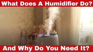 What Does a Humidifier Do Why Do You Need It [upl. by Raul]