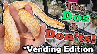 How to Vend at a Reptile Expo [upl. by Aicirtak175]