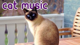 15 HOURS of Deep Stress Relief Cat Music Music to Help Your Cat Sleep [upl. by Rufina930]