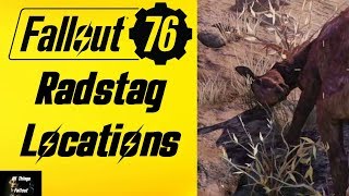 Fallout 76 Radstag Locations [upl. by Dag]