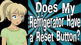 Does My Refrigerator Have a Reset Button [upl. by Ahserkal]