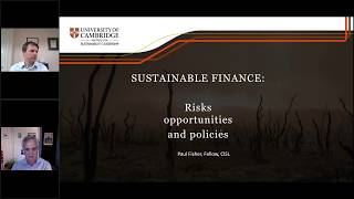 Sustainable Finance Risks amp Policy [upl. by Ellehcen]