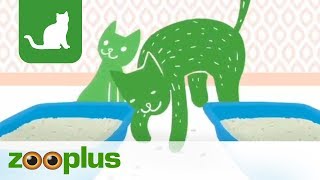 Sanicat Katzenstreu klumpend oder absorbierend  zooplus [upl. by Dailey778]