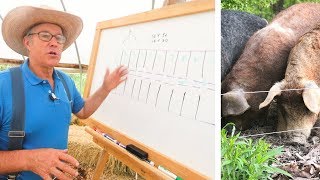 Joel Salatin Teaches Pasture Pigs for Profit [upl. by Olyhs]