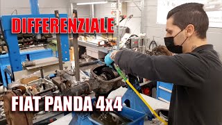 Differenziale Panda 4x4 [upl. by Taran]