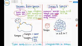 Konsep umum  Dasar sistem imun sistem pertahanan tubuh imunologi [upl. by Doug365]