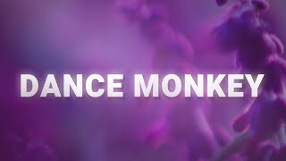 Tones And I  Dance Monkey Lyrics [upl. by Aurelia]