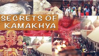 Secrets of Kamakhya Temple  Documentary  Amartya Saha  Amos Entertainment [upl. by Inram]