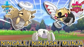 Capturer Ningale Ninjask et Munja  Pokémon Épée et Bouclier [upl. by Sitto37]