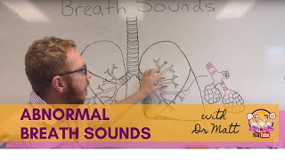 Abnormal Breath Sounds  Respiratory System [upl. by Araf]