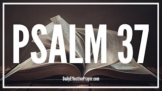 Waiting For God  Psalm 37 Audio Bible Psalms [upl. by Lhamaj168]