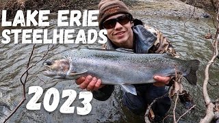 Lake Erie STEELHEAD Fishing 2023 SMALL Tributaries [upl. by Notnilk]