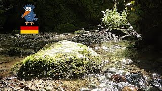 Pähler Schlucht mit Wasserfall  Wanderung zwischen Ammersee und Starnberger See Bayern [upl. by Peterus170]