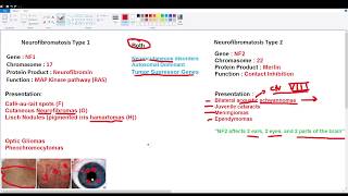 Neurofibromatosis Type 1 Clinical Diagnostic Criteria [upl. by Alexei]