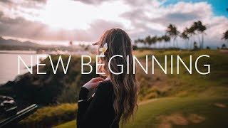 SkHall amp Ludwiig  New Beginning Lyrics Alan Walker Style [upl. by Francesco]