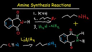 Amine Synthesis Reactions Organic Chemistry  Summary amp Practice Problems [upl. by Leihcim859]