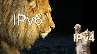 IPv6 Addresses Explained [upl. by Nahsar309]