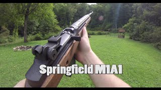 Springfield M1A  Durable DMR [upl. by Ydnih]