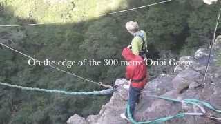 Oribi Gorge Swing  South Africa [upl. by Ecinahs]