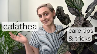 CALATHEA Plant Care Tips  Prayer Plant Care [upl. by Rexana]