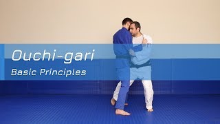 Ouchigari  Basic principles [upl. by Morganica]