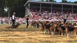 Démonstration à la Fête de la Chasse [upl. by Ab]