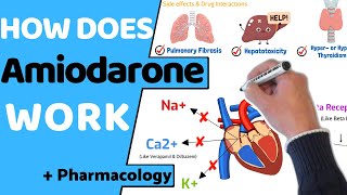 How does Amiodarone Work  Pharmacology [upl. by Eceertal652]