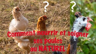 Comment nourrir et soigner ses poules au NATUREL [upl. by Lipman886]