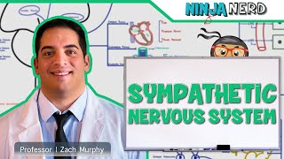 Neurology  Sympathetic Nervous System [upl. by Fu41]