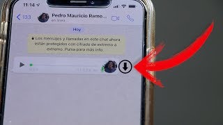 DESCARGA Y GUARDA AUDIOS DE WHATSAPP EN TU IPHONE [upl. by Onaicul]