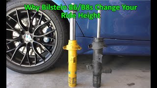 Why Bilstein B6B8s Change Your Ride Height [upl. by Euh]