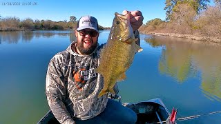 Tuolumne River Bass spawn March 2024 [upl. by Nagud]