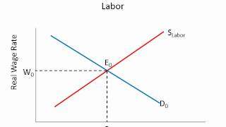 Supply and Demand for Labor [upl. by Carolina810]