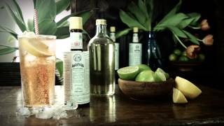 Angostura Lemon Lime Bitters  Quick Serve Method  Drinks Network [upl. by Zeb]