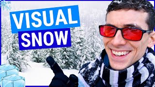 What is Visual Snow Symptoms and Treatments [upl. by Adnav442]