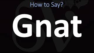 How to Pronounce GNAT CORRECTLY [upl. by Atelokin]