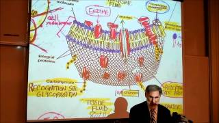 BIOLOGY CYTOLOGY PART 1 by Professor Fink [upl. by Hittel146]