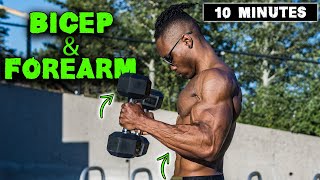 10 MINUTE LIGHTWEIGHT DUMBBELL BICEP amp FOREARM WORKOUT [upl. by Nevarc241]