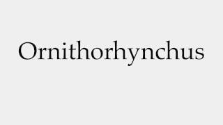 How to Pronounce Ornithorhynchus [upl. by Barbuto]