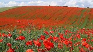 In Flanders Fields by John McCrae May 1915 [upl. by Albur661]