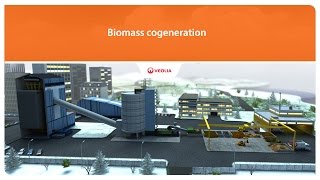 Cogeneration biomass  Veolia [upl. by Phippen]