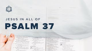 Psalm 37  Do Not Be Anxious  Bible Study [upl. by Peck]