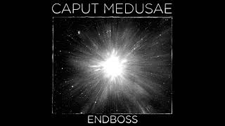 Caput Medusae  Endboss [upl. by Eylsel]