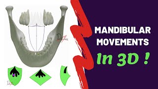 Mandibular Movements in 3D  SUPER EASY [upl. by Ecnal123]